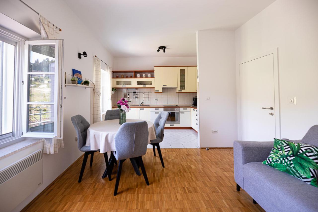 Ponte Apartment Orašac Zewnętrze zdjęcie