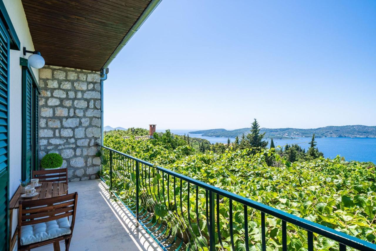 Ponte Apartment Orašac Zewnętrze zdjęcie